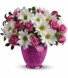 Teleflora's Pink Daisy Delight from Swindler and Sons Florists in Wilmington, OH
